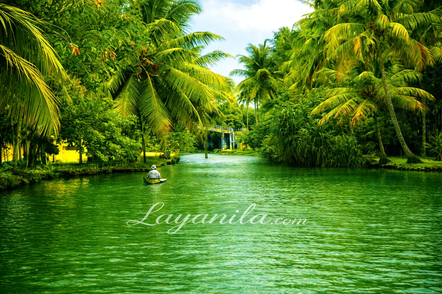 Alappuzha backwater canal